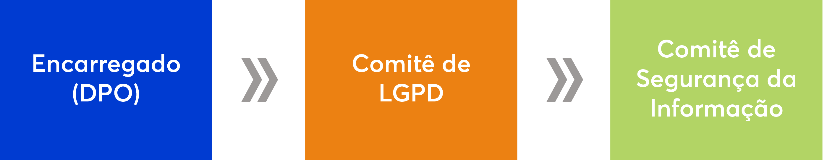 lgpd_instancias_de_governanca.png