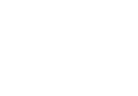 Buda Beer