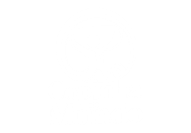 Copinha do mundo